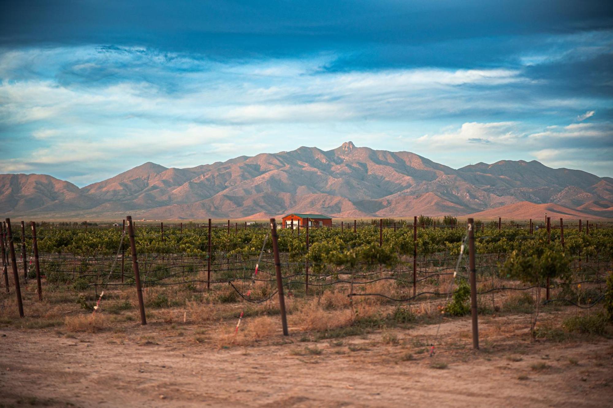 Вилла Casa Barbera At Tirrito Farm Уиллкокс Экстерьер фото
